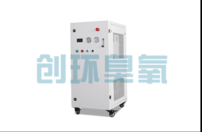 玉林工厂化养鲈必看：2026年臭氧发生器替代传统消毒的最新方案