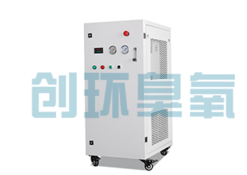 玉林石斑鱼养殖水质调控完整指南：臭氧发生器配置与操作步骤