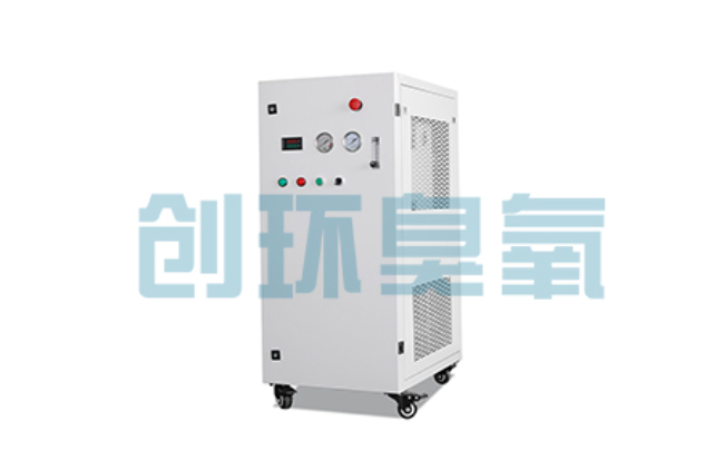 玉林比传统换水更高效？臭氧发生器在石斑鱼养殖中的水质净化原理解析